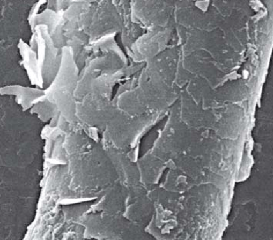 Screen Shot 2018-05-23 at 6.36.58 AM